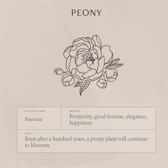 Peony November Birth Flower Engraved Boho Necklace - Picture 7 of 15